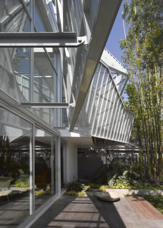 A Perforated Screen Brings Privacy and Natural Light to This Bold Venice Home - Photo 6 of 9 -