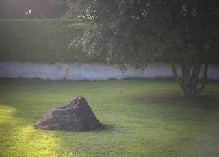 Terra! The Grass Armchair - Photo 1 of 5 -