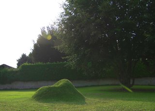 Terra! The Grass Armchair - Photo 5 of 5 -