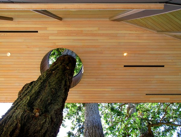Douglas Fir tree threads though the house. By honoring the site, the house dwells lightly on the beachfront, providing the unique spatial intimacy of being in and among the trees. Through its tight geometry, restrained materials, and tall open spaces which frame the ocean and forest, the project creates an incomplete “room without walls” from which to enjoy the pristine landscape in an atmosphere of stewardship and ecological sensitivity.
#detail #trees #nature #architecture #treepreservation #douglasfir #beachhouses #beachhouse #interstice #intersticearchitects #bradlaughton #bradlaughtonphotography #britishcolumbia #vancouverisland Photo 3 of TreeHugger modern home