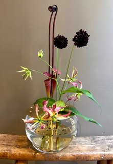 Modern Ikebana - Photo 1 of 8 -