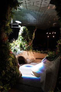 At the Lowline Lab, more than 3,000 plants grow under natural sunlight in an architectural landscape designed by Signe Nielsen of Mathews Nielsen and built by John Mini Distinctive Landscapes. The installation is meant to test which species will grow best underground.