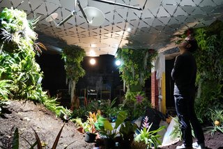 A visitor examines the solar canopy that distributes the natural sunlight to the plants below. The structure was designed by engineer Ed Jacobs.