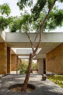 Casa GP is laid out as a series of pavilions, with each holding another function.