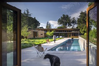 Channeling Midcentury Modern in Northern California - Photo 7 of 7 - Seen from the guesthouse, the new home touches every corner of the property without overwhelming its natural beauty. 