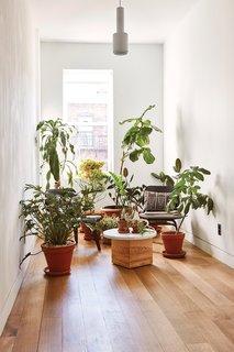 On the second-floor landing, an Alvar Aalto A110 pendant light from Artek hangs above an improvised green space.