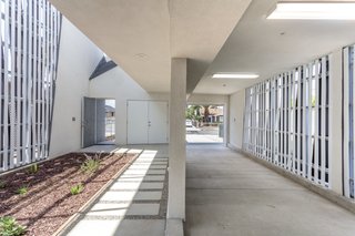 When Building a House Is the Ultimate Final Exam - Photo 6 of 8 - The house also features an entry courtyard. The Eco-Screen diffuses light for shade. 