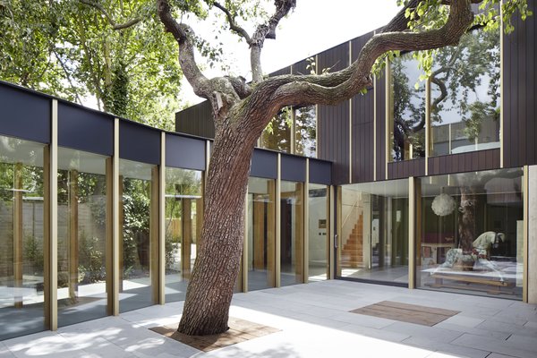 This Modern Courtyard Home Celebrates a 100-Year-Old Tree - Photo 1 of 8 - "I believe that the beauty is in the execution. Beautiful things can be made from humble materials with thought and care," says architect Jake Edgley. 