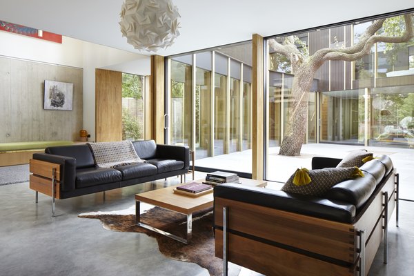 This Modern Courtyard Home Celebrates a 100-Year-Old Tree - Photo 4 of 8 - The sofas are designed by Robin Day for Habitat. The walnut frame nicely contrasts with the soft leather cushions. 