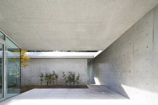 It is a Garden by Assistant - Photo 3 of 8 -