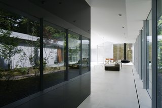 It is a Garden by Assistant - Photo 8 of 8 -