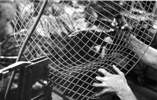 Excess wire being removed after the rods have been joined. Image Knoll Archive.