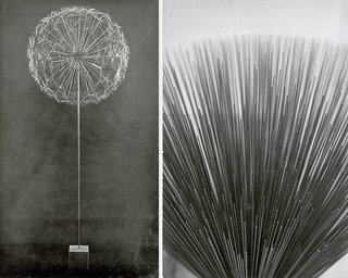 Knoll Inspiration: Harry Bertoia Centennial Celebration - Photo 5 of 5 - Black & white photographs of Harry Bertoia's Sonambient sculptures.