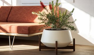 Case Study® Ceramics
Modernica.net - Photo 4 of 4 - Case Study® Diamond w/ Wood Stand