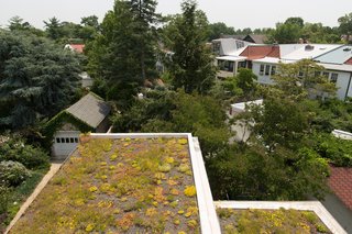 These 10 Green Roofs Bring Life—and So Much More—to These Modern Structures - Photo 8 of 11 - For the green roof, the family received a subsidy administered by DC Greenworks and funded by the DC Department of the Environment. The sedum plantings come from nearby Emory Knoll Farms, the only nursery in North America to focus solely on propagating plants intended for green-roof systems.