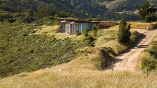 These 10 Green Roofs Bring Life—and So Much More—to These Modern Structures - Photo 9 of 11 - Native grasses such as red fescue and California oat dot the landscape surrounding the house.