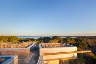 These 10 Green Roofs Bring Life—and So Much More—to These Modern Structures - Photo 10 of 11 - Natural sea grasses were sourced from the surrounding area to cover the roof of the building, providing thermal insulation while also dampening the noise of rain, improving air quality, and helping to manage rainwater flow.