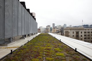 These 10 Green Roofs Bring Life—and So Much More—to These Modern Structures - Photo 7 of 11 - A living roof is among the project's many green features.