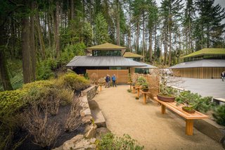 Take a Tour of Kengo Kuma’s Expansion of the Portland Japanese Garden - Photo 8 of 8 - While the existing Garden has remained intact and unchanged, the Cultural Village expansion introduces three new gardens designed to demonstrate a wider array of Japanese garden styles and techniques. These include an entry garden with cascading ponds and a water terrace, Tsubo-niwa in the Tateuchi Courtyard, and the Ellie M. Hill Bonsai Terrace. The Bill de Weese chabana garden will grow flowers for its tea ceremony—the first of its kind in North America.