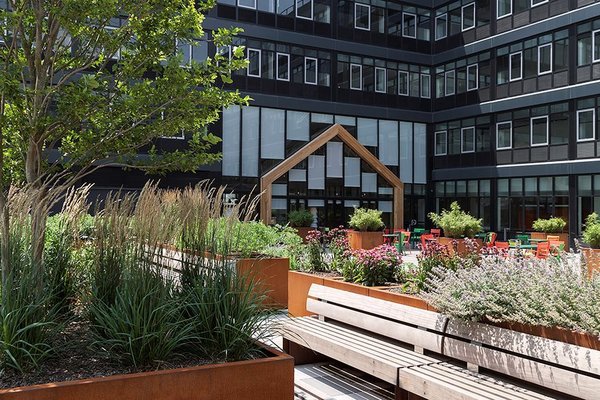 3 New York City Residential Projects That Feature DIY Urban Gardens - Photo 5 of 7 - With over 50 varieties of produce, the plot includes a greenhouse and picnic tables for communal dining. 