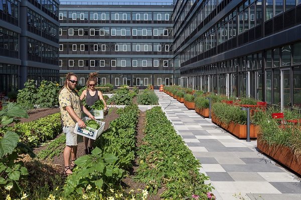 3 New York City Residential Projects That Feature DIY Urban Gardens - Photo 6 of 7 - Residents will be able to harvest their own crops under the direction of a "farmer-in-residence."