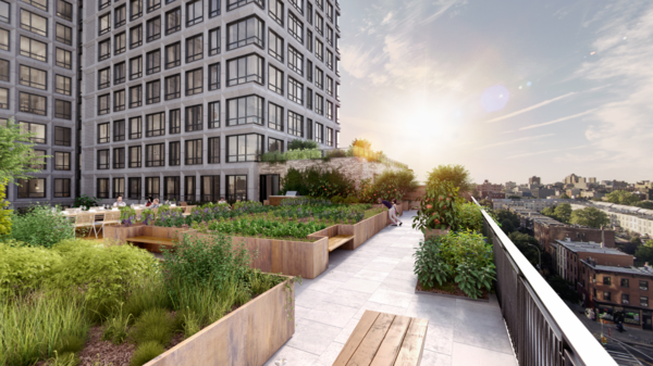 3 New York City Residential Projects That Feature DIY Urban Gardens - Photo 3 of 7 - Shown here is a view of the building's rooftop terrace.