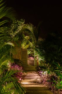 This Expansive Beachside Home on Mexico's Pacific Coast Puts a Modern Spin on Tradition - Photo 6 of 13 - The site is lush with natural local vegetation. 