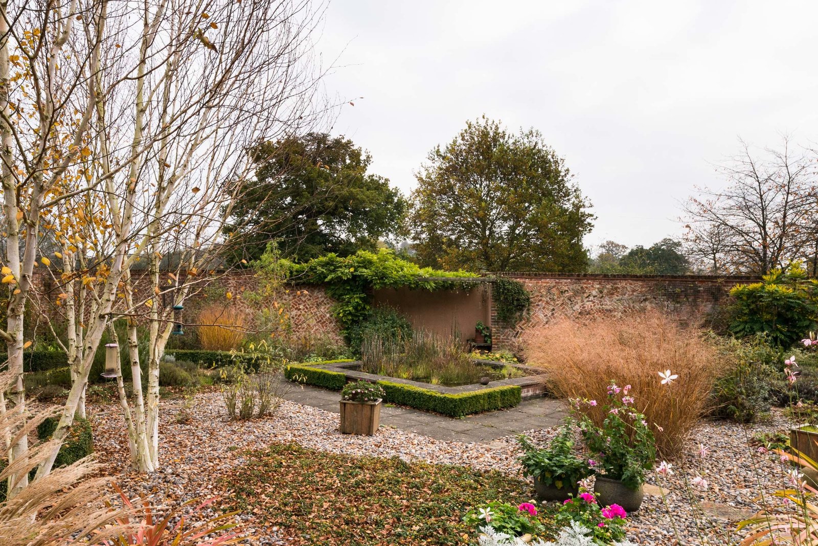 The walled in garden.