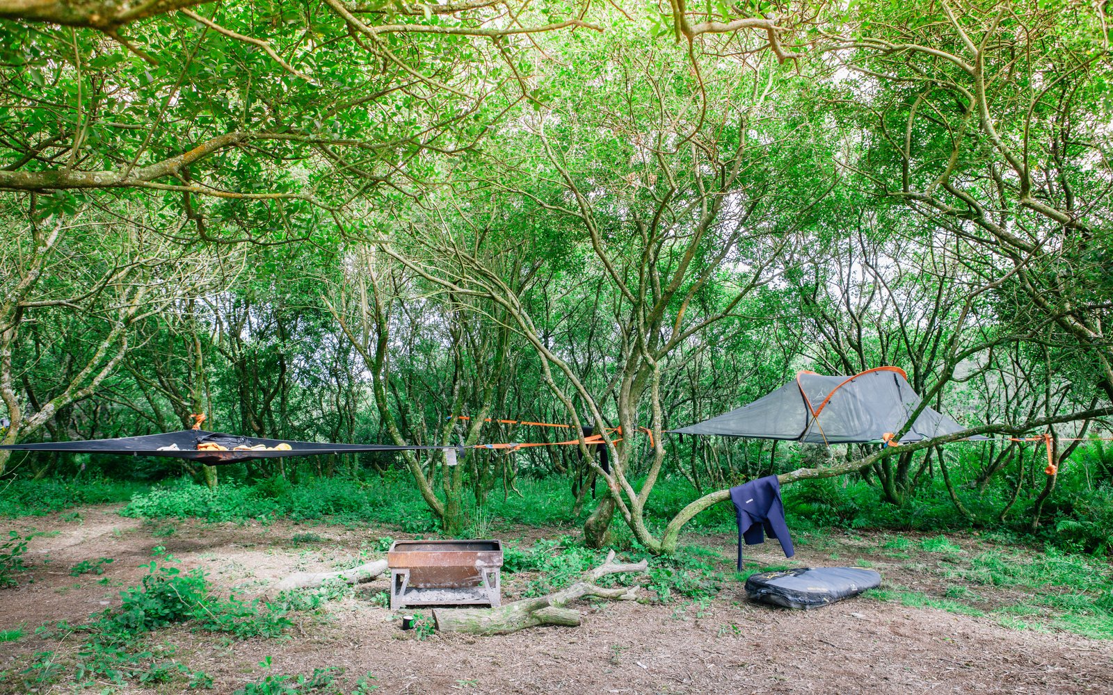 Tentsile tents also offer an above-ground experience.