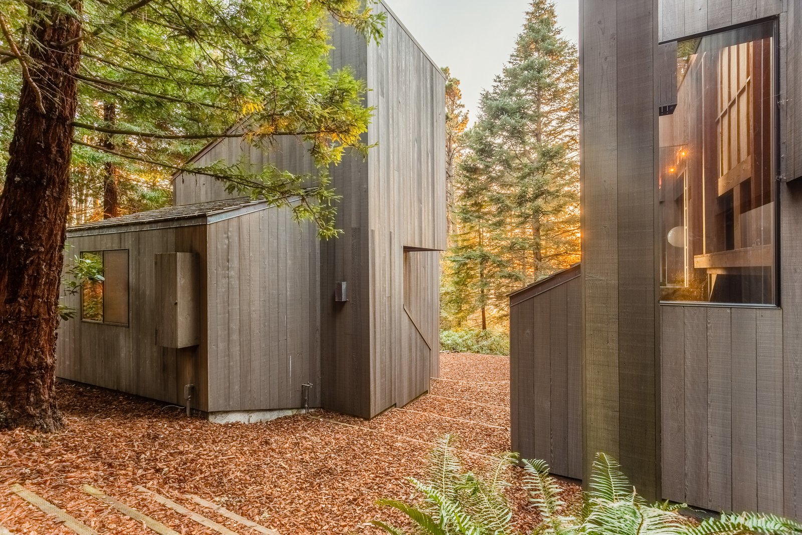 Turnbull preserved the natural hillside by designing the levels of interior spaces to coincide with the slope. A vertical terrace between the two buildings affords both private courtyard and stairway with axial views of both the sea and the forest.