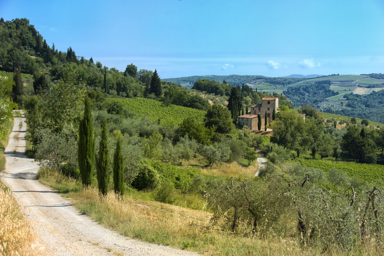 The property comes with six acres planted with cypress and olive trees.