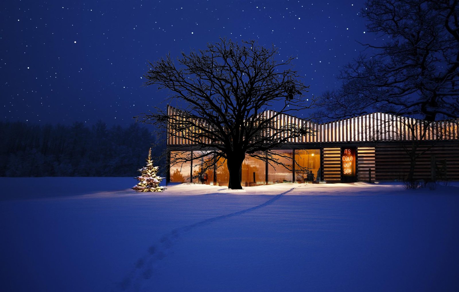 The studio also is designed to collect rainwater, which is harvested for the adjacent vegetable garden.