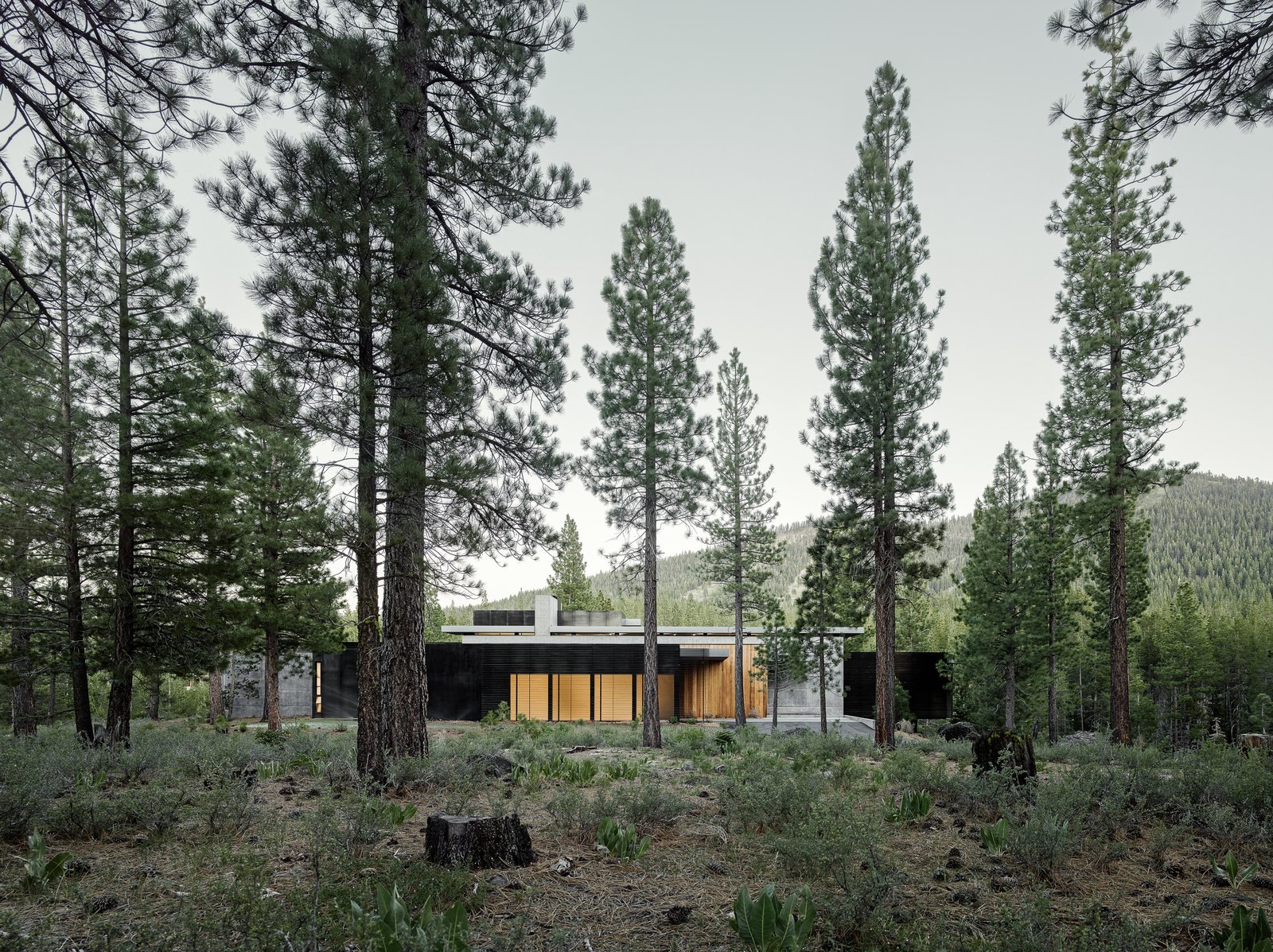 A view of the home from the south elevation.