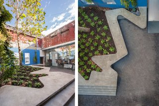 Inside the Head Office of Bocci - Photo 3 of 7 - The roof was removed on the fifth and sixth floor to create the outdoor courtyard. A London Plane tree was craned in from the street.
