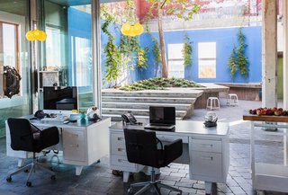 Inside the Head Office of Bocci - Photo 2 of 7 - Sliding glass doors surround the spacious outdoor courtyard. In the summer, the doors are pushed open and staff can sit on the garden's ledges.