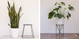 Steel plantware by Blue Caribou: the Oliver (left) and the Tofino (right).