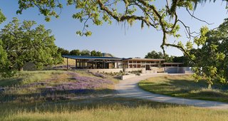 Focus on Feldman Architecture’s Environmentally-Conscious Homes - Photo 5 of 5 - Caterpillar House
