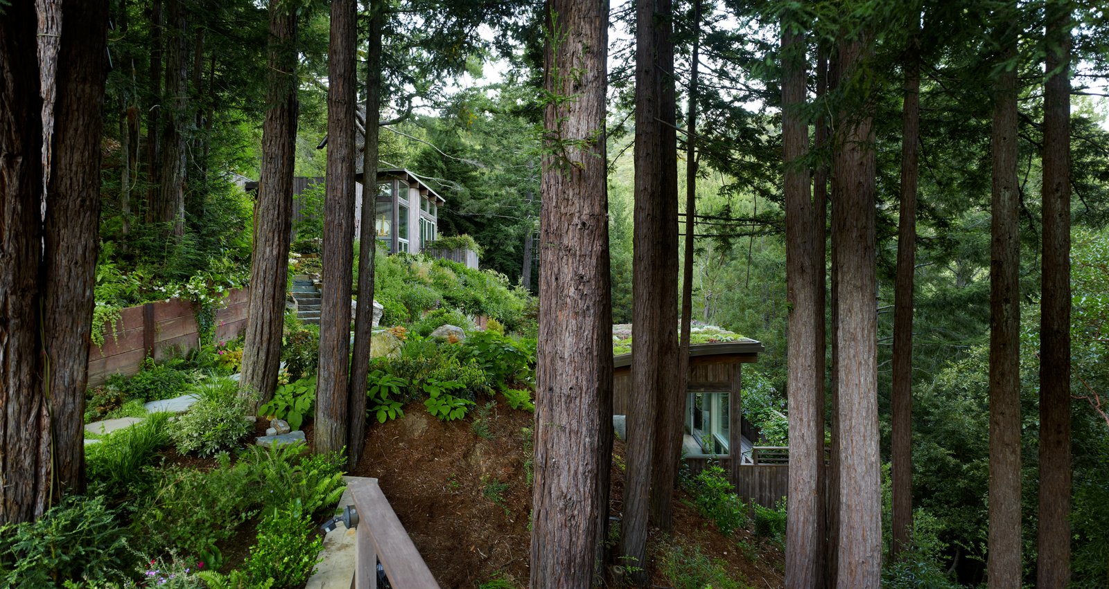 Mill Valley Cabins Mill Valley Cabins