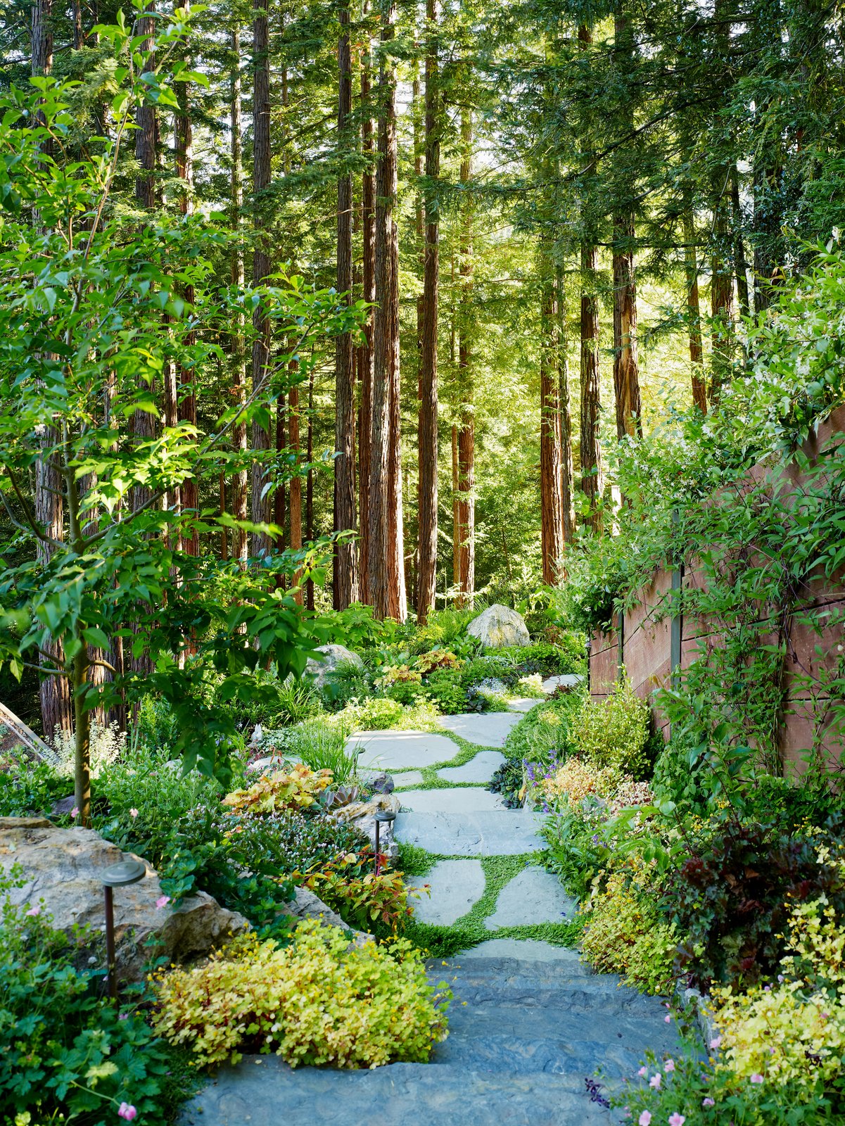 Mill Valley Cabins Mill Valley Cabins