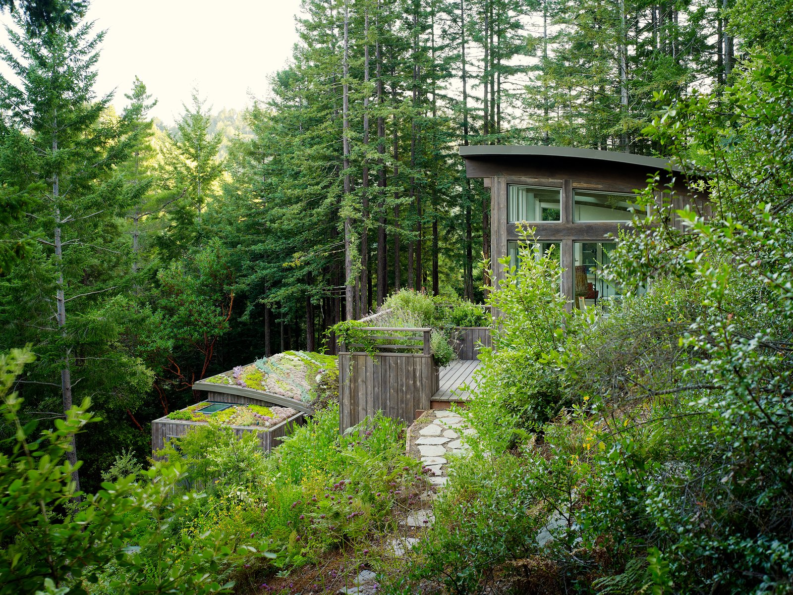 Mill Valley Cabins Mill Valley Cabins