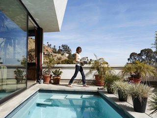 A Modern Los Angeles Airbnb Inspired by Hosting - Photo 6 of 7 - Their property features an abundance of local flora and fauna. "We have deer that come from Griffith Park through our garden," Judith says.