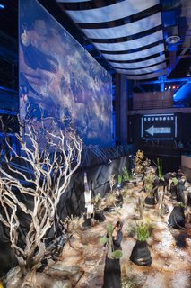 Pre-concert, SoundBox employees prepare a plant installation that corresponds to composer John Cage’s Branches, whose score is comprised of performance instructions for playing amplified pods, cacti, pod rattles, and other plant materials like instruments.
