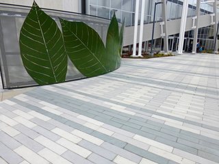 Setting Creative Solutions in Stone - Photo 5 of 6 - Large Scale CalArc Pavers line the Google campus in Mountain View, California.