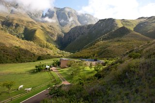 A small Arabian stud and a champion English Pointer live on the site, where mountain leopards and baboons also prowl. Before building, Herman and van Gass cleared the land of invasive species like the black wattle, an acacia tree.