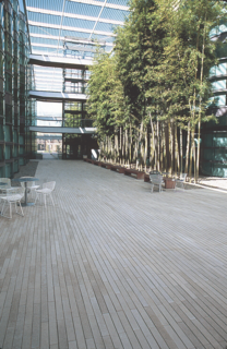 Drawing the Line: Concrete Pavers That Advance Architectural Design - Photo 3 of 7 - Stepstone developed the Narrow Modular Pavers with landscape architect Peter Walker, who requested them for the Stanford University campus. After adjusting the production process to accommodate the new shape, McWilliams was "amazed at how well the pavers fit into the design of the buildings." 