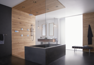 From the wall-mounted faucets over the sink to the understated towel bars, the Arris collection makes an elegant statement in this serene bathroom. 