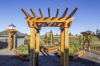 Sustainable Redwood Stars in an Oregon Architectural Showcase - Photo 4 of 6 - Mon Coeur—or "My Heart"—is a Hamptons-style dwelling with an emphasis on the outdoors. Humboldt Redwood arbors and planter gardens create a fruitful garden.