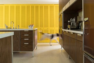 A Rare Midcentury Prefab Looks Just Like it Did in 1958—Down to the Knoll and Paul McCobb Interiors - Photo 6 of 13 - Bright closet doors provide storage space and a healthy dose of color from various vantage points.