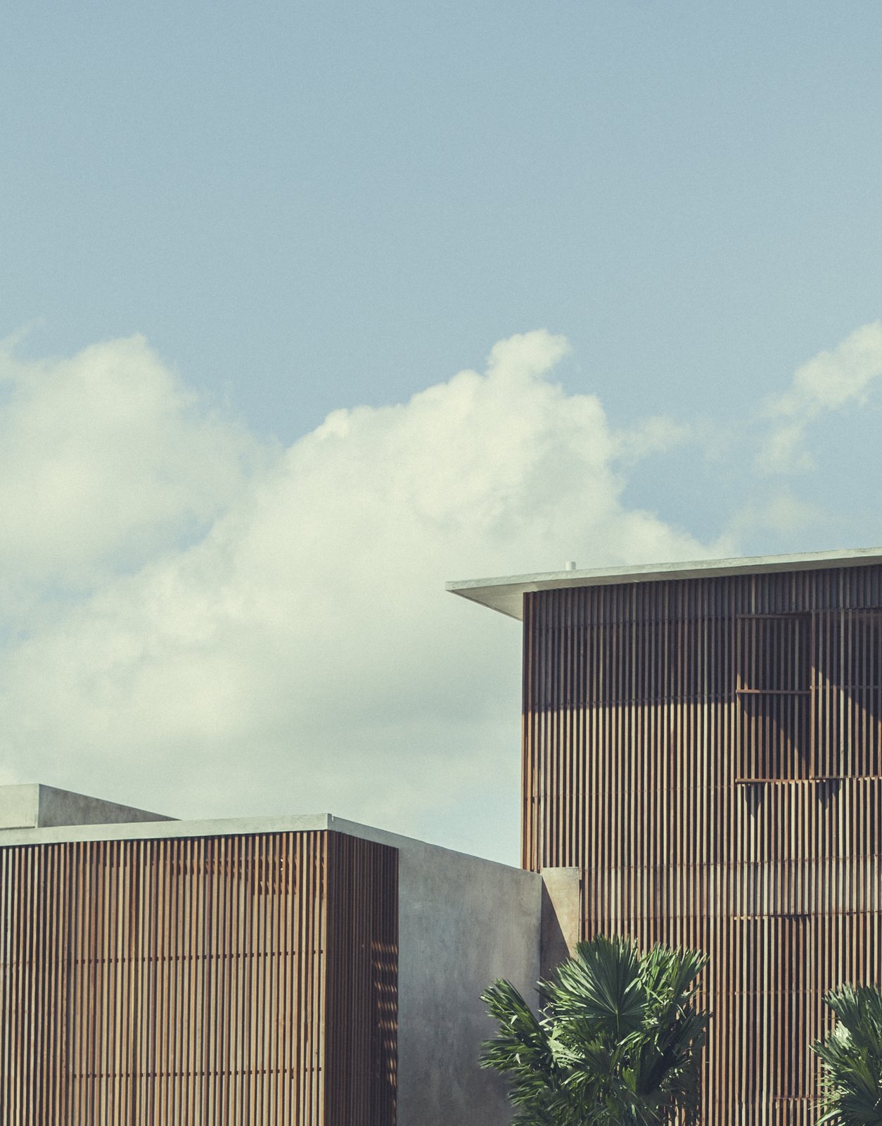 George collaborated with architect Rieky J. Sanur of GFAB Architects to create the work of "Tropical Brutalism." The 12-room hotel presents a striking facade of native Bangkirai hardwood screens, chosen for its resilience in tropical climes. Inside, local materials and area-produced crafts and furniture create a warm, textured atmosphere that displays George and Cisco’s personal art collection of over 90 pieces.