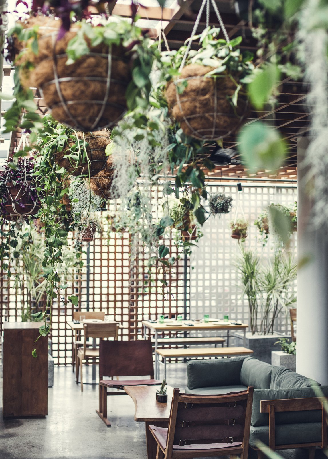 Hanging plants create an atrium atmosphere in Eat & Drink, which is open for service all day.
Head chef Shannon Moran is at the helm of Eat & Drink, whose seasonal menu draws from his travels through Europe, South America, and Asia. All throughout the venue, curated tunes from Reverberation Radio, a weekly podcast by Los Angeles-based band Allah-Las, adds to the alt-island vibe.
